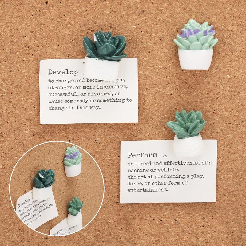 acDesign 30Pcs Decorative Pushpins Succulent Plants Thumb Tacks for Wall Hangings,Cork Board - Image 3